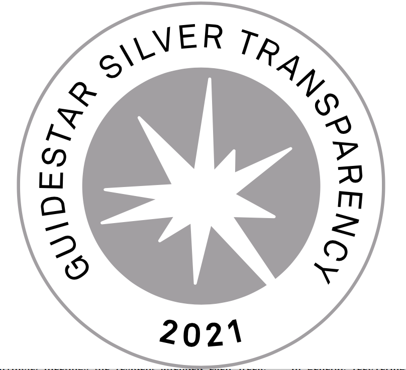 Guidestar Silver Transparency 2021